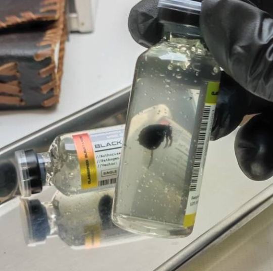 Black Death (Yersinia Pestis S. XIV ),COSPLAY PROPS