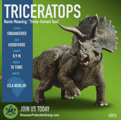 Triceratops 2. 050