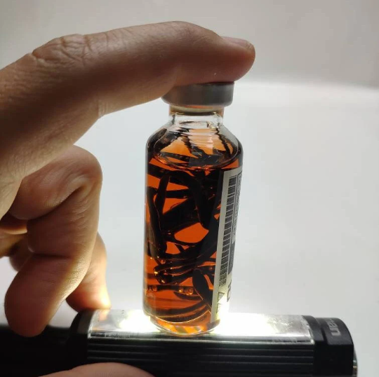 Uroboros Resident evil