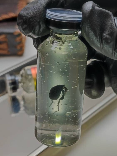 Black Death (Yersinia Pestis S. XIV ),COSPLAY PROPS