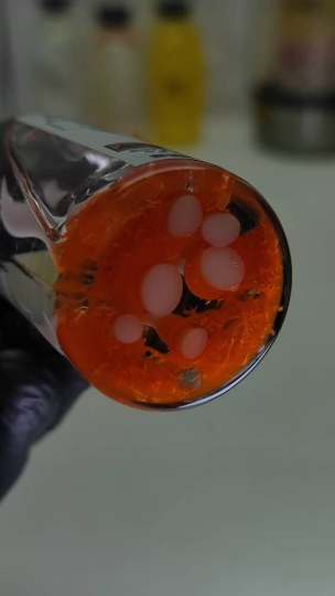 THE LAST OF Us, Cordyceps V1