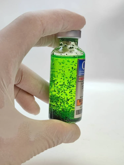 The walking dead,Virus Wildfire ZOMBIE VIRUS