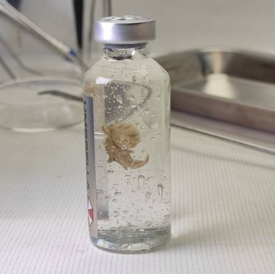 RESIDENT EVIL PROP, Cadou, Nematodes