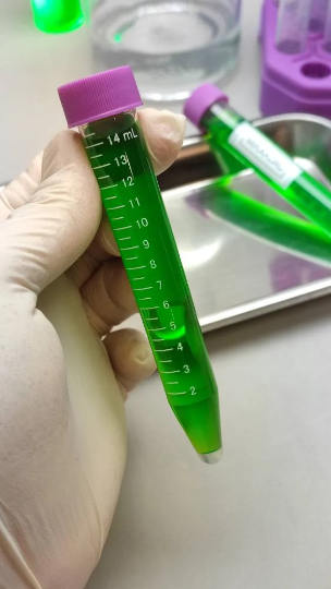 Mirakuru serum.DC Arrow réplica.