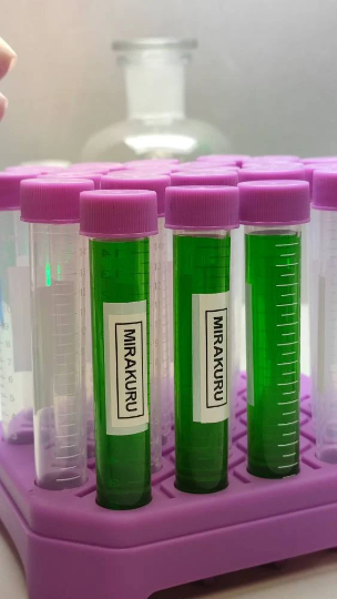 Mirakuru serum.DC Arrow réplica.