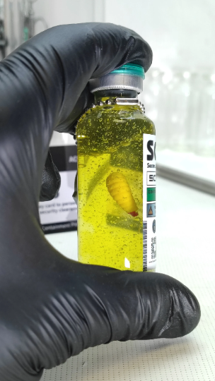 SCP-1550 A Dr. Wondertainment's Custom-Pet, safe