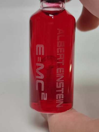 Cerebro de Albert Einstein Prop ( Soporte de luz no incluido)