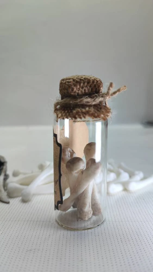 The bones of my enemies