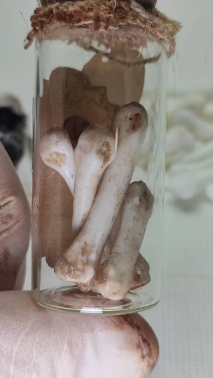 The bones of my enemies