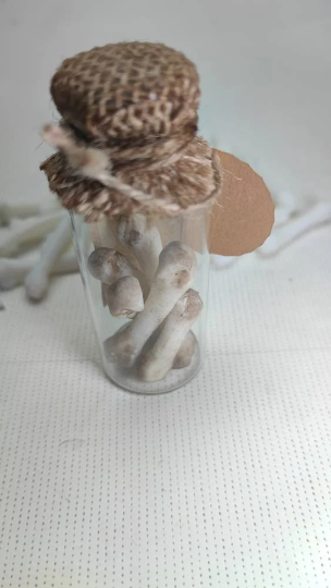 The bones of my enemies