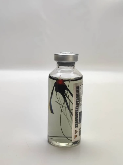 Las Plagas (Parasite) Umbrella corp