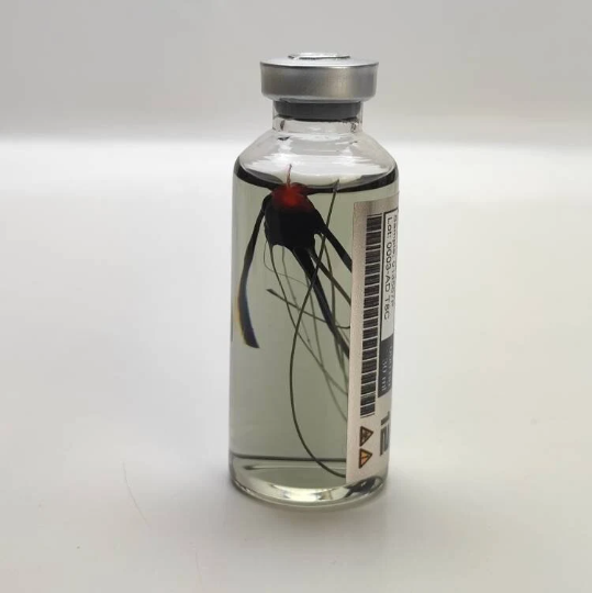 Las Plagas (Parasite) Umbrella corp