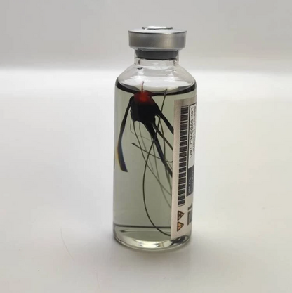 Las Plagas (Parasite) Umbrella corp