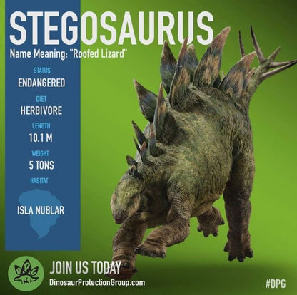 Stegosaurus 2. 032