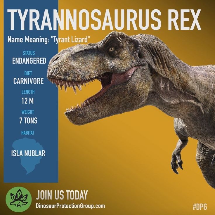 Tyrannosaurus Rex 1.0