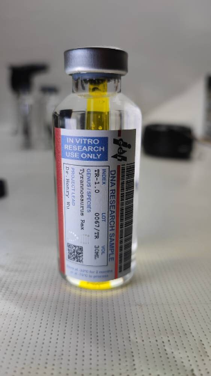 Tyrannosaurus Rex 1.0