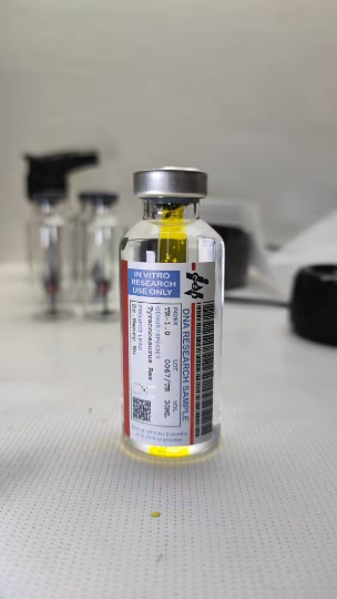 Tyrannosaurus Rex 1.0