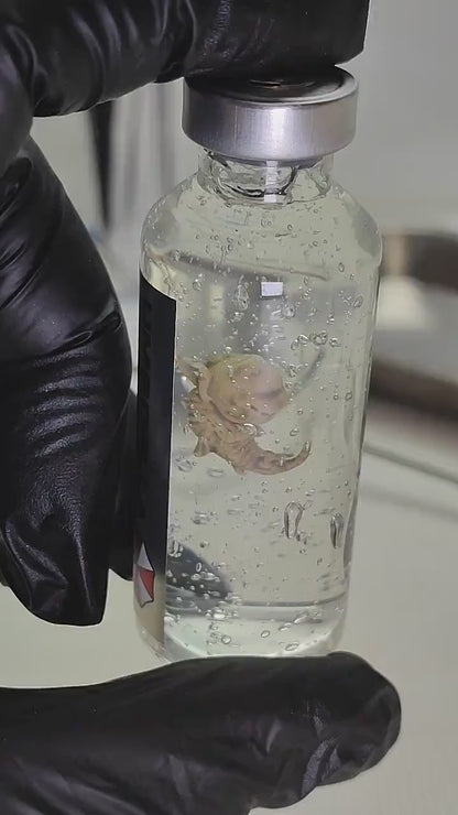 RESIDENT EVIL PROP, Cadou, Nematodes